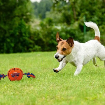 New York Knicks Ball Rope Toys - 3 Red Rovers
