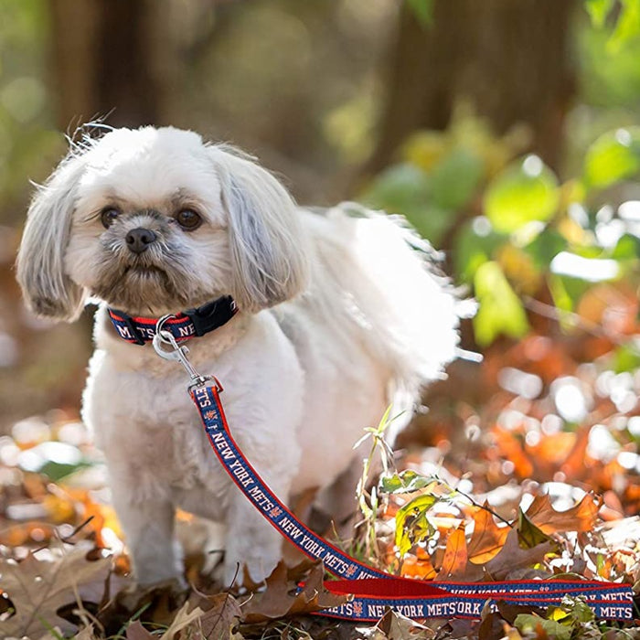 New York Mets Dog Collar or Leash - 3 Red Rovers