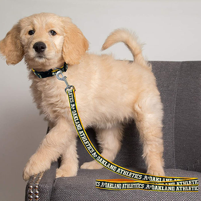 Oakland Athletics (A's) Dog Collar or Leash - 3 Red Rovers