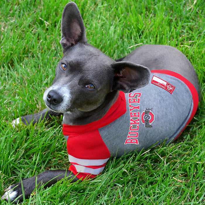 OH State Buckeyes Lightweight Pet Hoodie - 3 Red Rovers