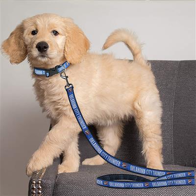 Oklahoma City Thunder Dog Collar and Leash - 3 Red Rovers