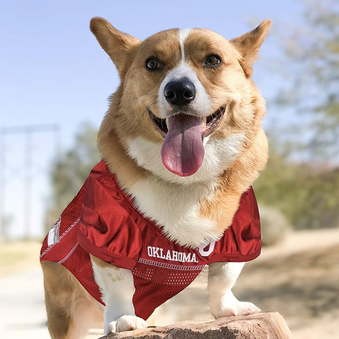 OK Sooners Pet Jersey - 3 Red Rovers