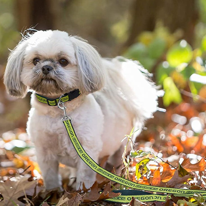 OR Ducks Dog Leash - 3 Red Rovers