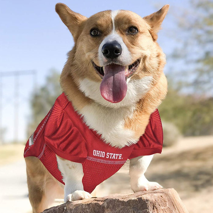 OH State Buckeyes Pet Jersey - 3 Red Rovers