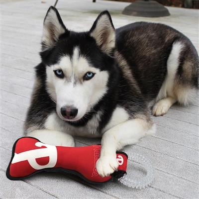 Philadelphia Phillies Bandana / Philadelphia Phillies / Dog 