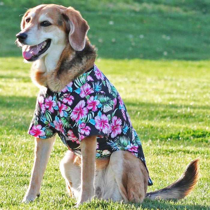 Paradise Nights Hawaiian Camp Shirt - 3 Red Rovers