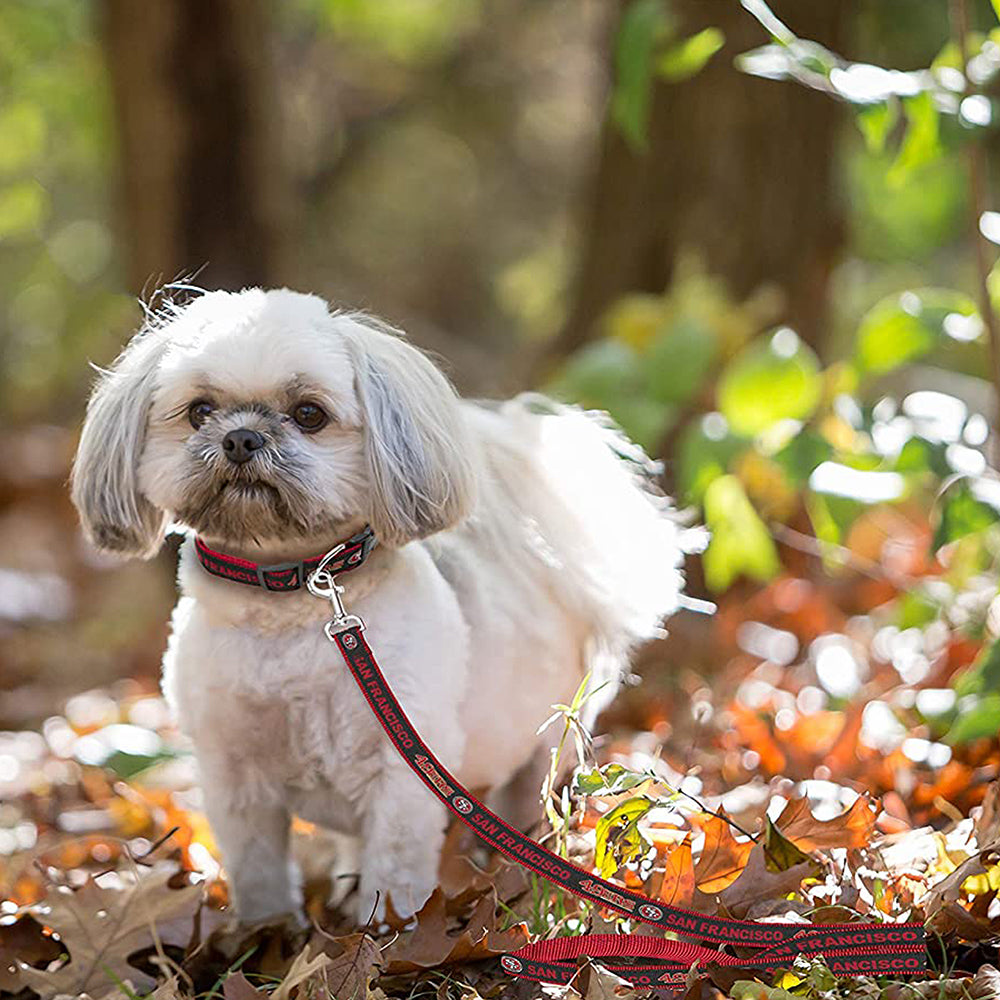 San Francisco 49ers Dog Collar or Leash – 3 Red Rovers