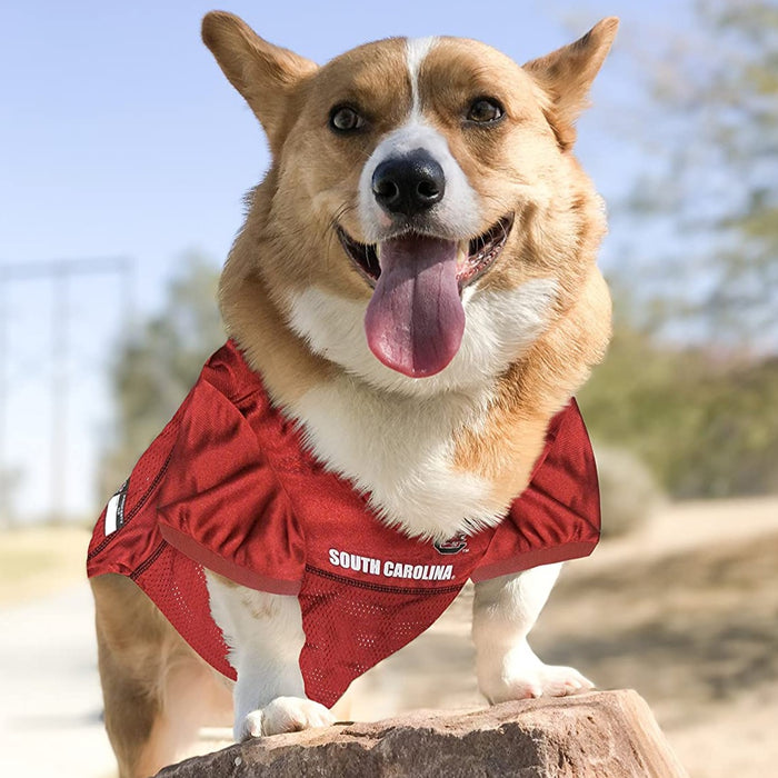 SC Gamecocks Pet Jersey - 3 Red Rovers