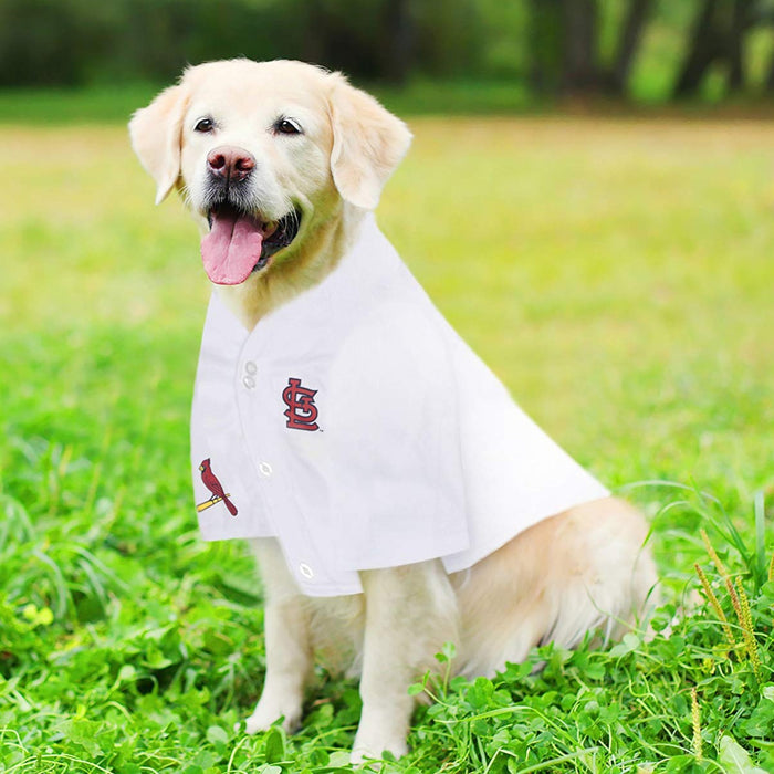 St Louis Cardinals Pet Jersey - 3 Red Rovers