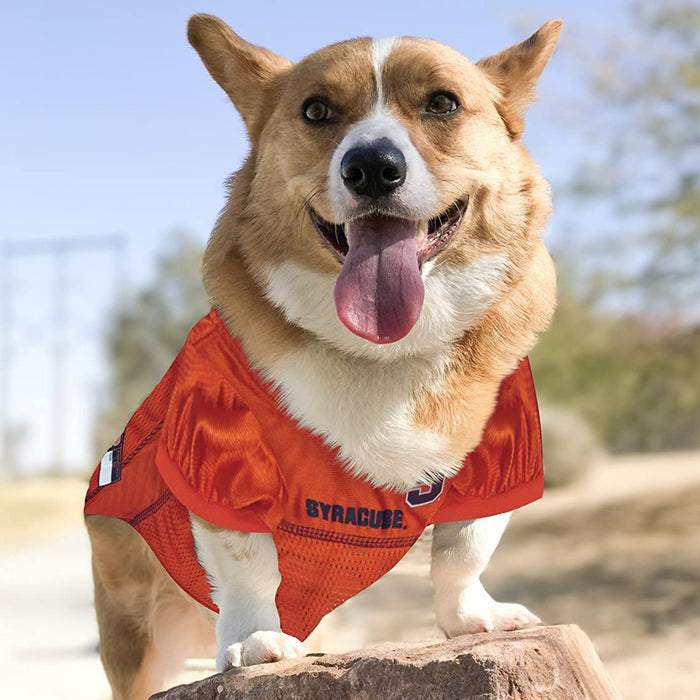 Syracuse Orange Pet Jersey - 3 Red Rovers