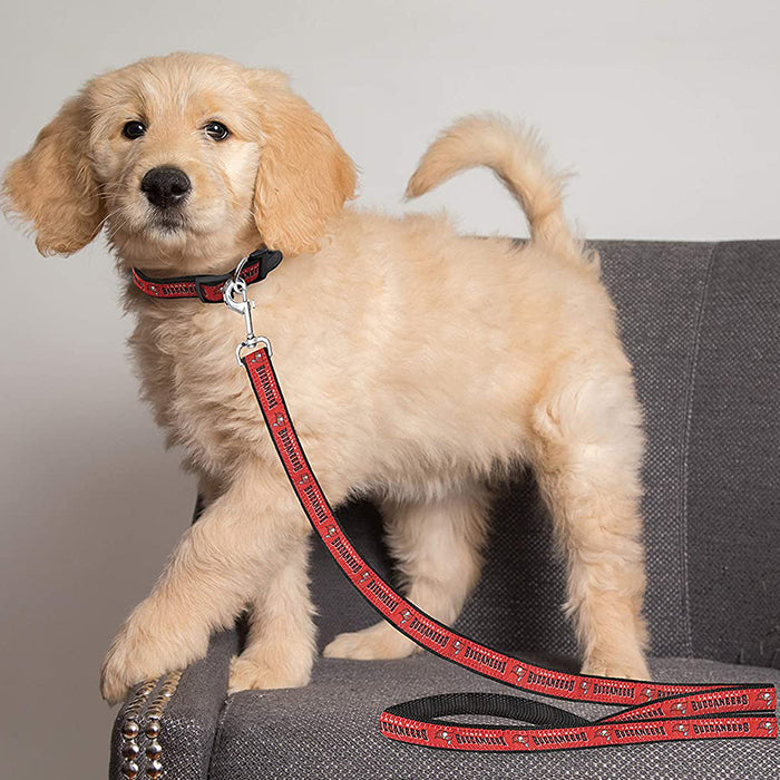 Tampa Bay Buccaneers Dog Collar or Leash - 3 Red Rovers