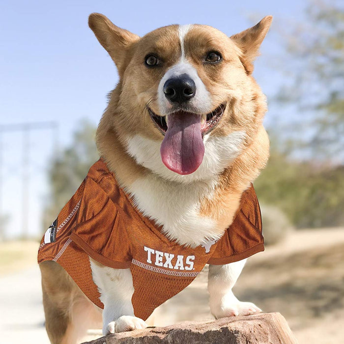 TX Longhorns Pet Jersey - 3 Red Rovers