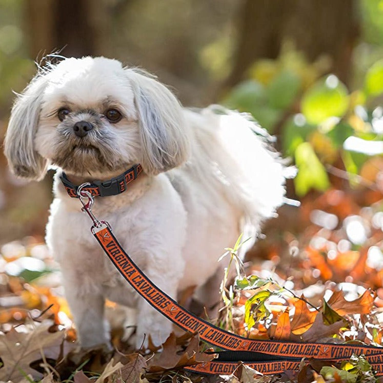 Pets First College Auburn Tigers Cheerleader, 3 Sizes Pet Dress Available.  Licensed Dog Outfit 