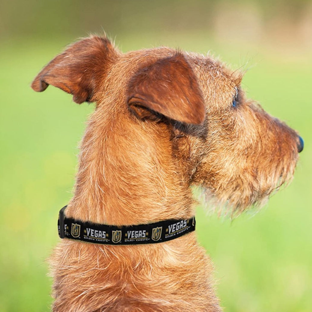 Golden knights dog on sale collar