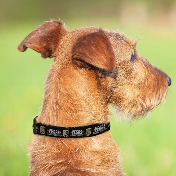 Vegas Golden Knights Dog Collar or Leash - 3 Red Rovers