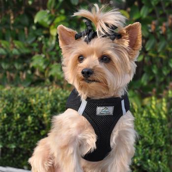 American River Ultra Choke Free Soft Mesh Dog Harness™ - Black - 3 Red Rovers