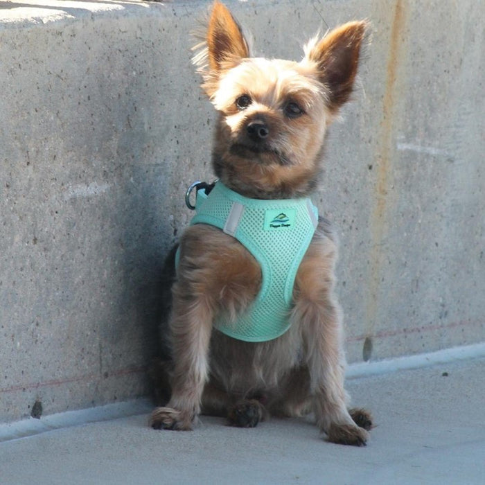 American River Ultra Choke Free Soft Mesh Dog Harness™ - Teal - 3 Red Rovers