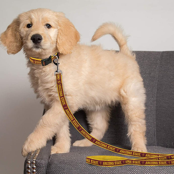 AZ State Sun Devils Dog Leash - 3 Red Rovers