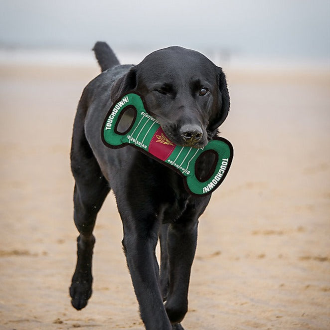 AZ State Sun Devils Field Tug Toy - 3 Red Rovers