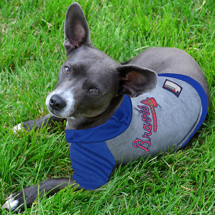 Atlanta Braves Lightweight Pet Hoodie - 3 Red Rovers