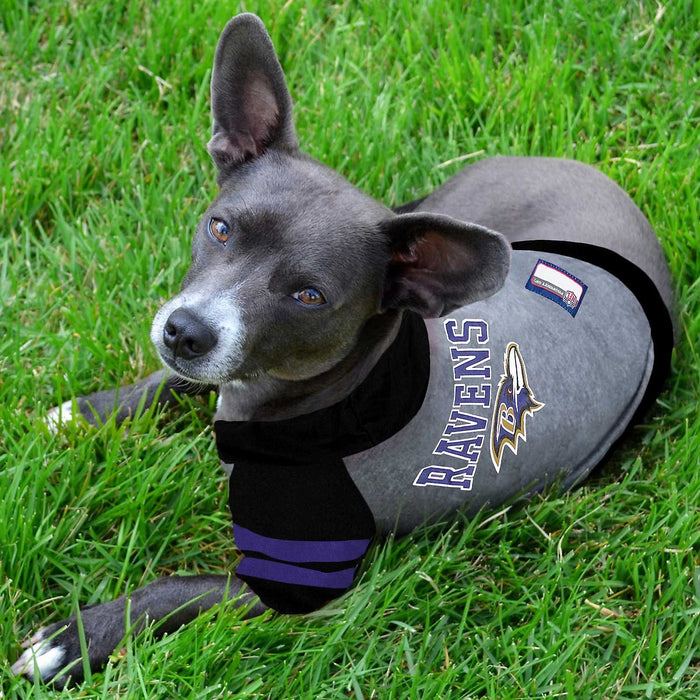 Baltimore Ravens Lightweight Pet Hoodie - 3 Red Rovers