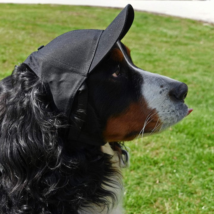 Dog Hat Braves Sports Fabric 