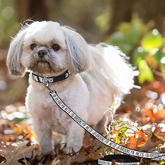 Brooklyn Nets Dog Collar and Leash - 3 Red Rovers