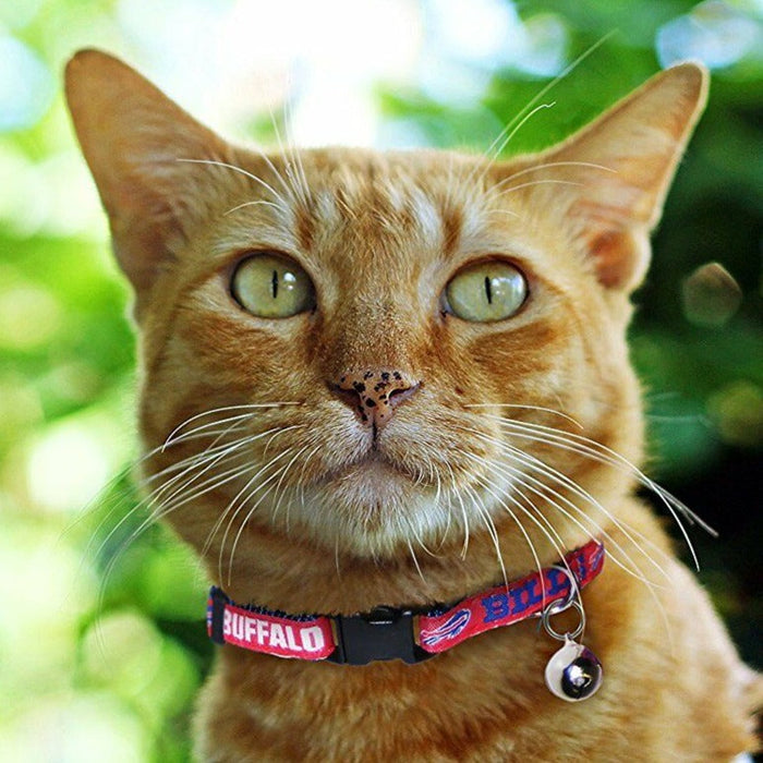 Buffalo Bills Cat Collar - 3 Red Rovers
