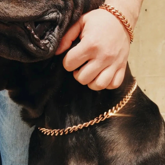Rosie Stainless Steel Dog Collar