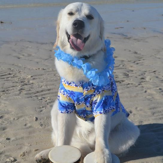 Catching Waves Hawaiian Camp Shirt - 3 Red Rovers