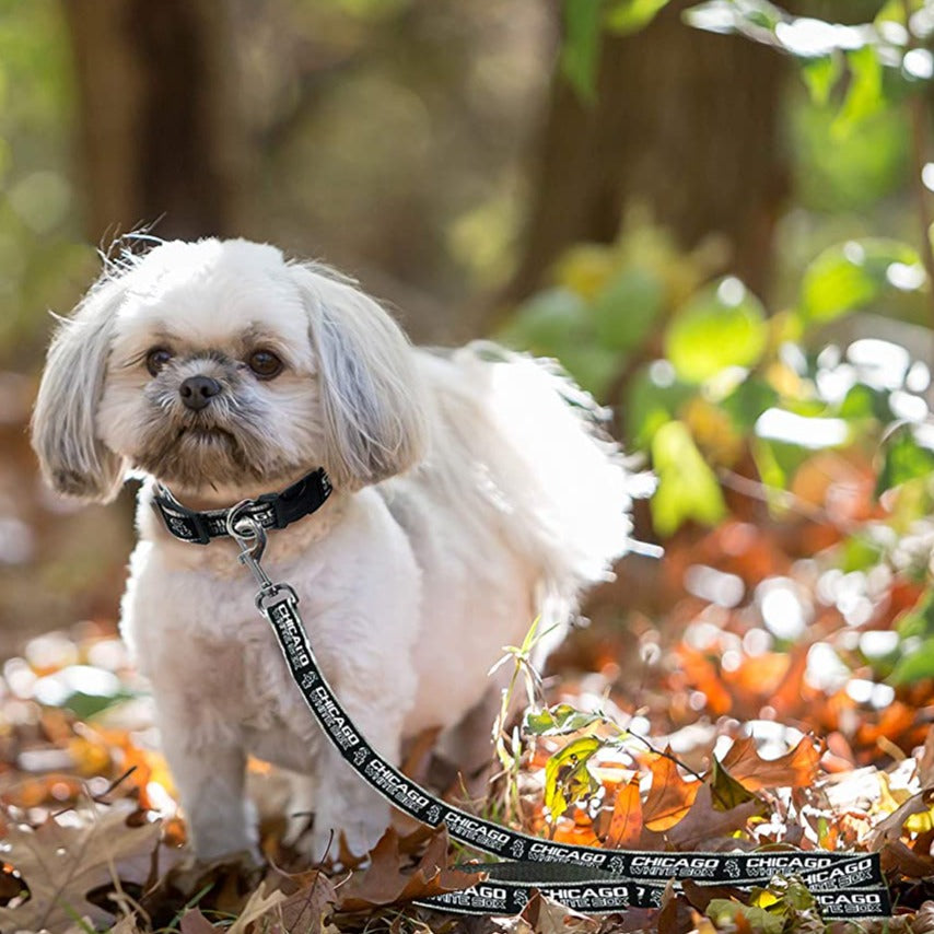 White sox shop dog collar