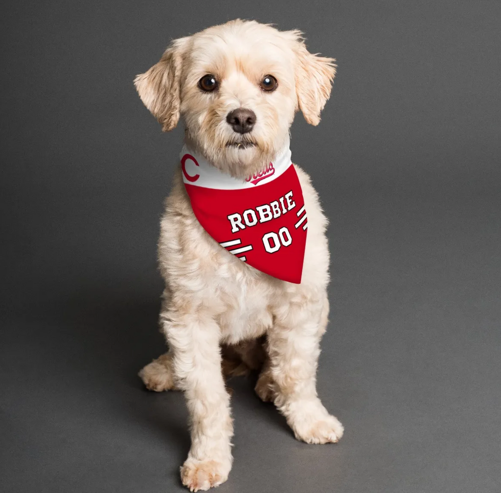 Toronto Blue Jays Home/Road Personalized Reversible Bandana – 3 Red Rovers