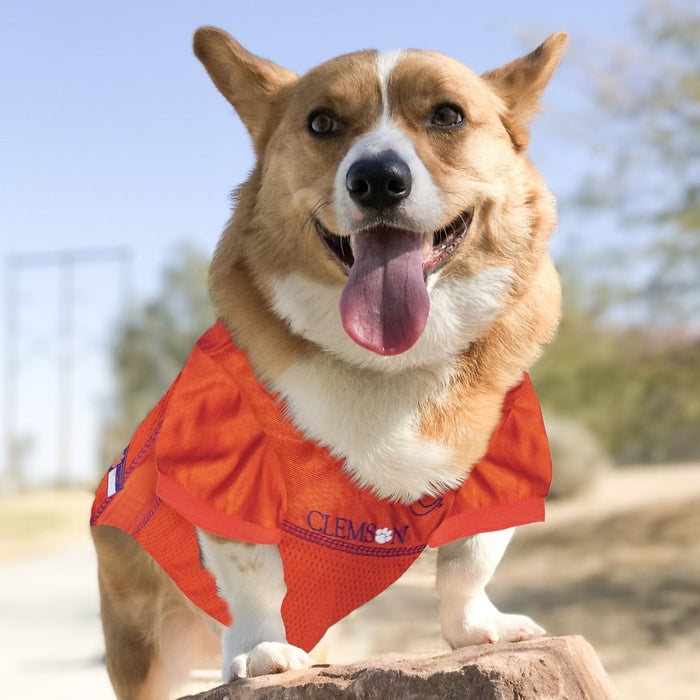 Clemson Tigers Pet Jersey - 3 Red Rovers