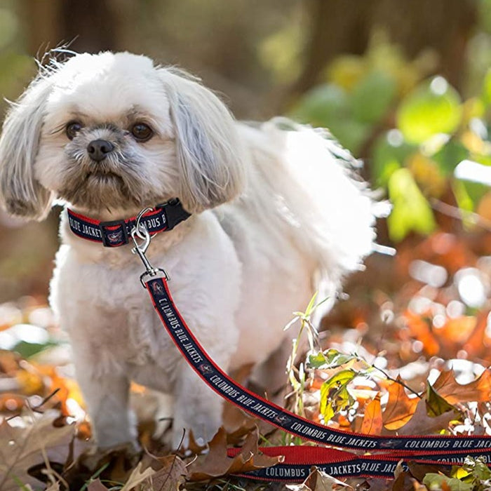 Columbus Blue Jackets Dog Collar or Leash - 3 Red Rovers