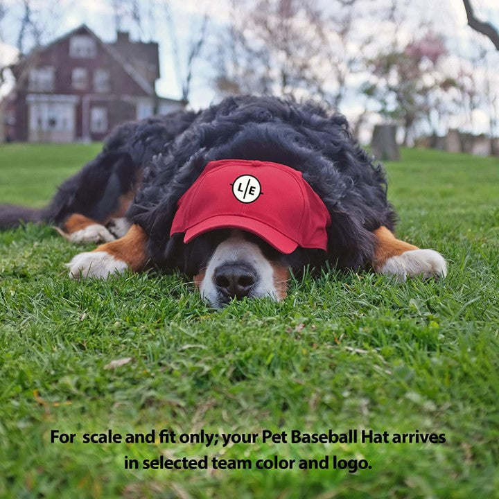 San Francisco 49ers Pet Baseball Hat – 3 Red Rovers