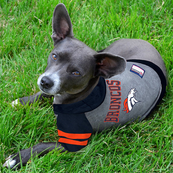 Denver Broncos Lightweight Pet Hoodie - 3 Red Rovers