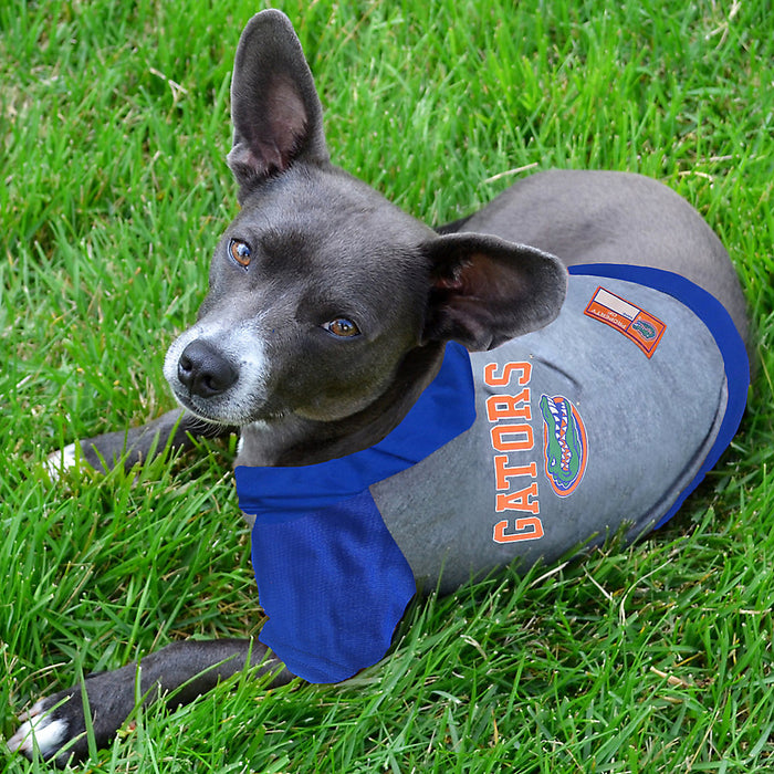 FL Gators Lightweight Pet Hoodie - 3 Red Rovers