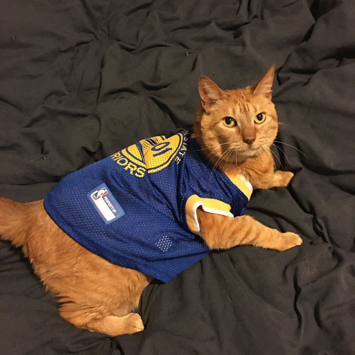 Personalized Golden State Warriors Dog Jersey High Quality Dog Clothes Pet  Clothes Cat Clothes