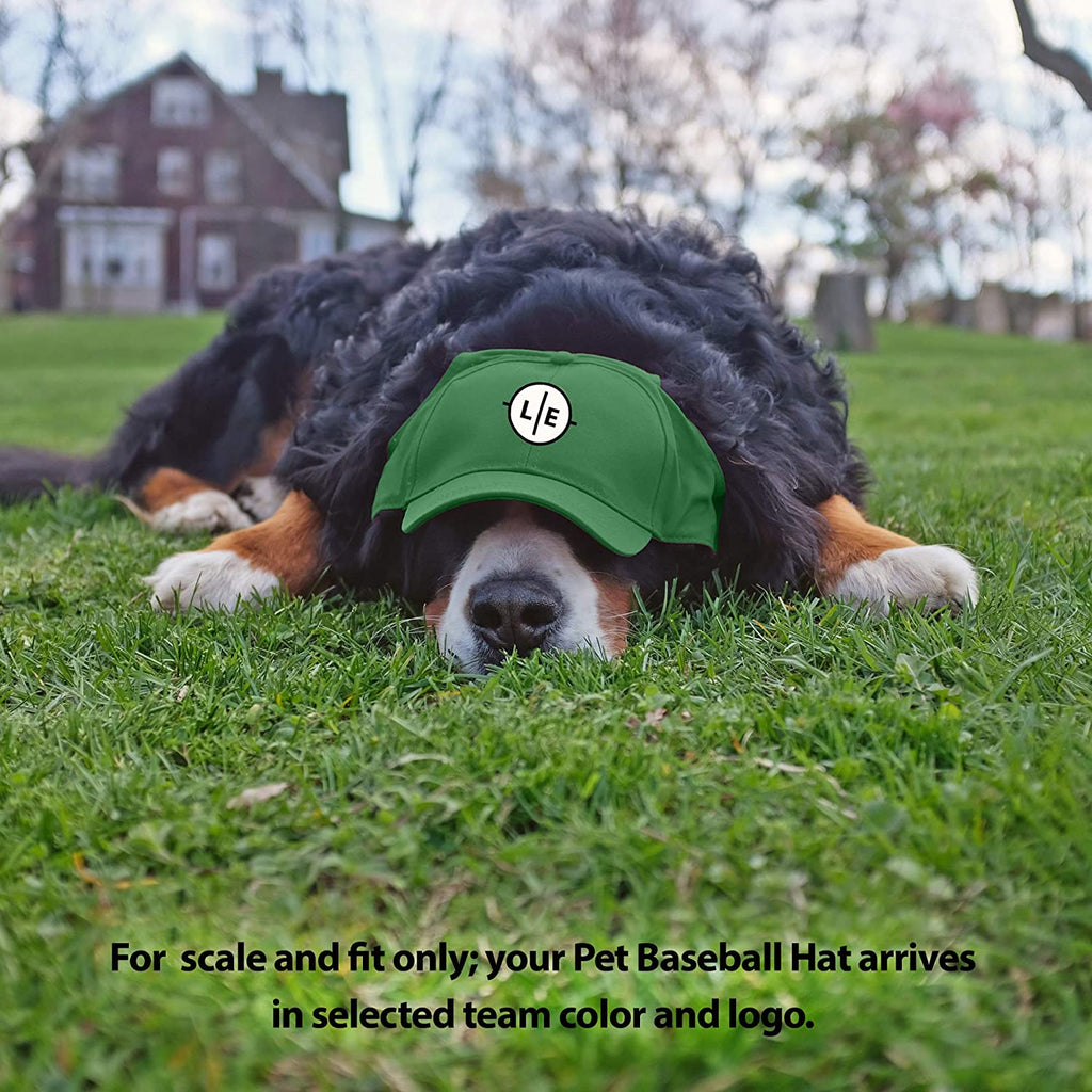 Dog Hat Las Vegas Raiders Pet Baseball : NFL Dog Hats – Posh Puppy