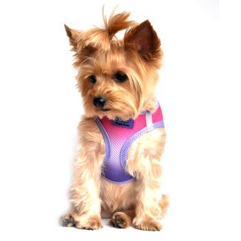 American River Choke Free Dog Harness™ Ombre - Raspberry Sundae - 3 Red Rovers