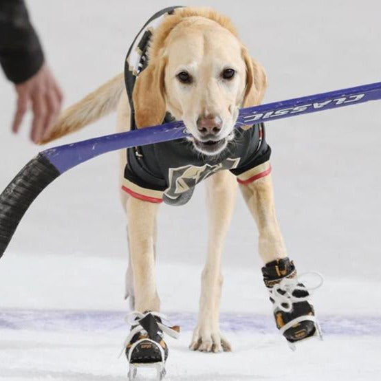 Las Vegas Golden Knights Dog Bandana Adjustable Collar NHL 