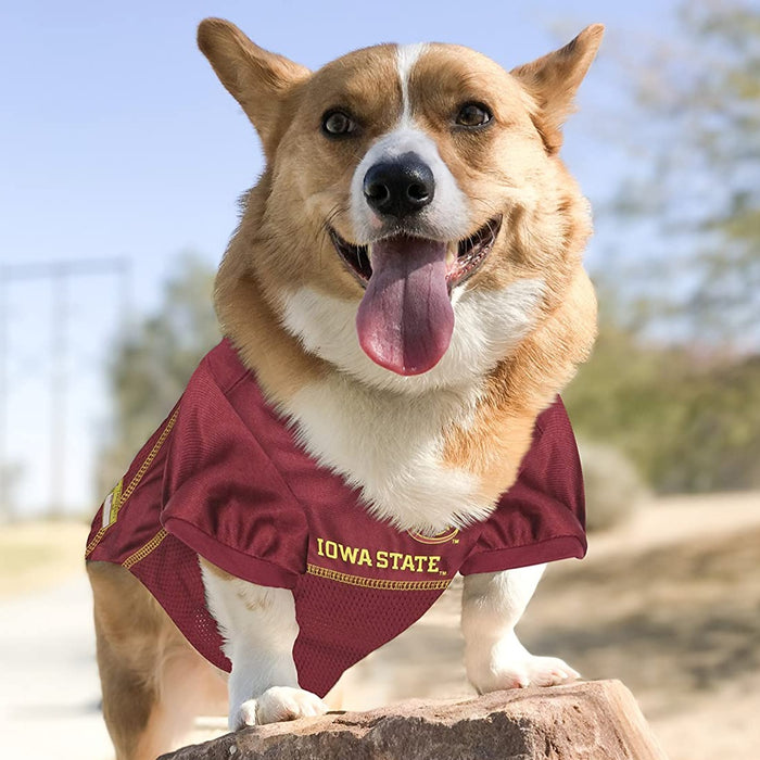IA State Cyclones Pet Jersey - 3 Red Rovers