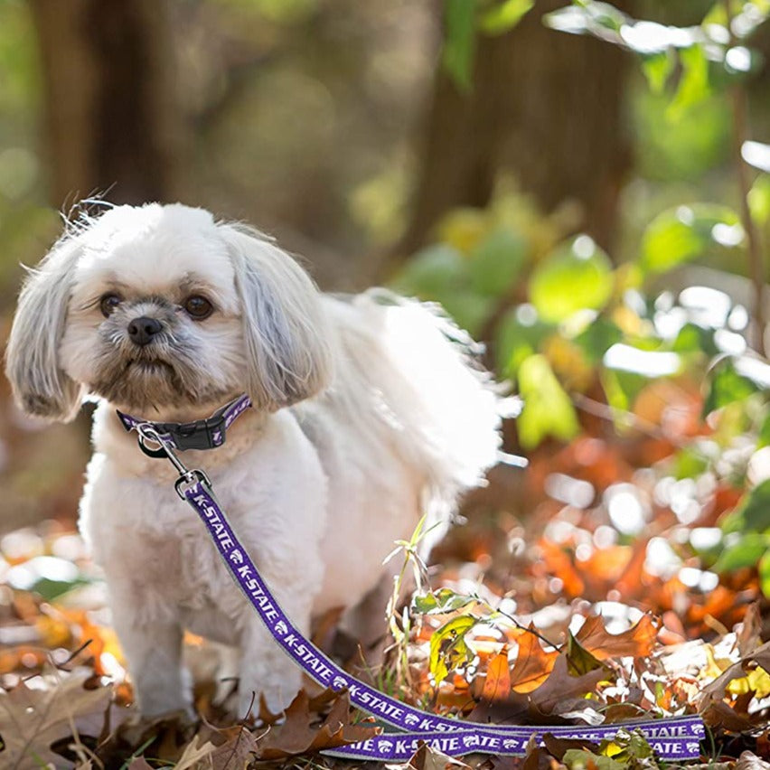 K state outlet dog collar