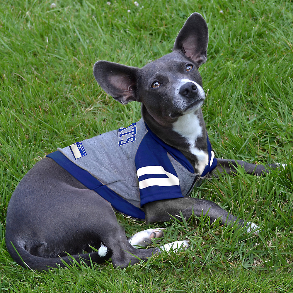 : Pets First NCAA Illinois Fighting Illini Dog Cheerleader Outfit,  Small : Pet Supplies