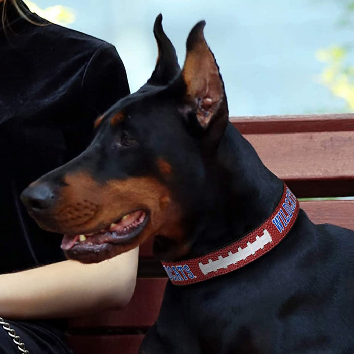 KY Wildcats Pro Dog Collar - 3 Red Rovers