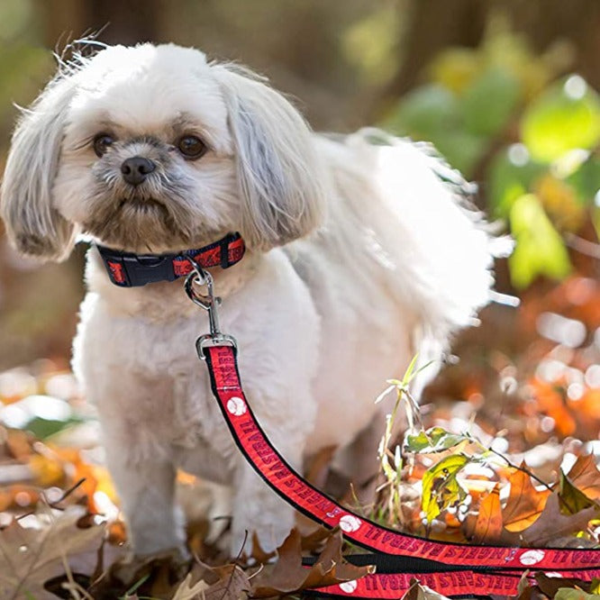 LA Angels Dog Collar or Leash - 3 Red Rovers