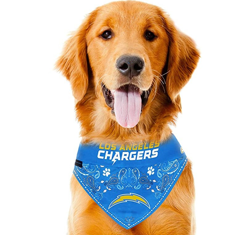 Chargers shop dog sweater