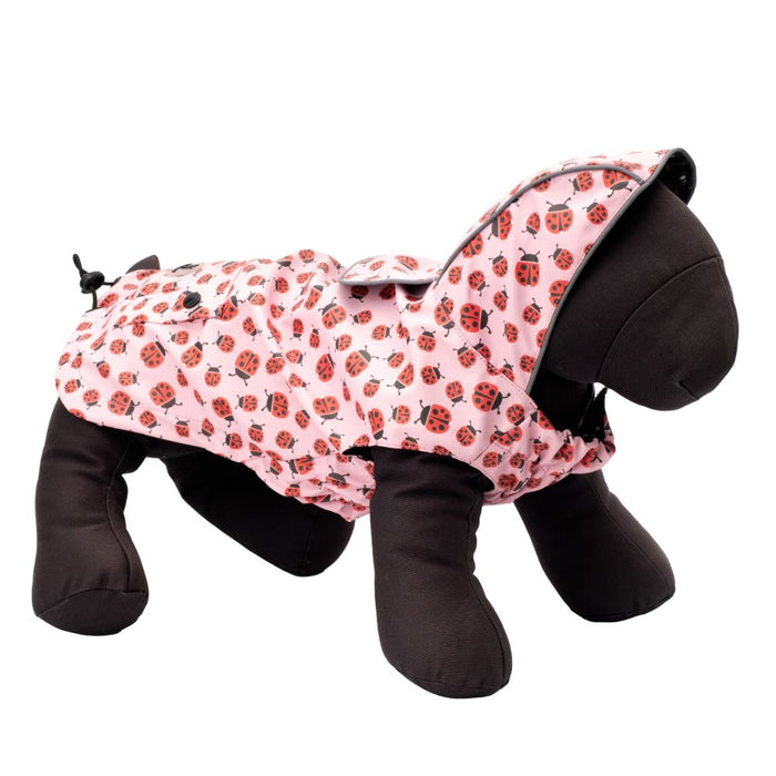 Ladybugs London Raincoat - 3 Red Rovers