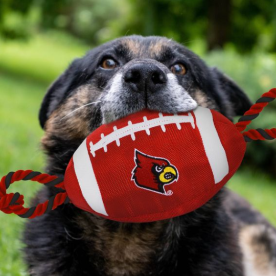 Louisville Cardinals Football Rope Toys - 3 Red Rovers