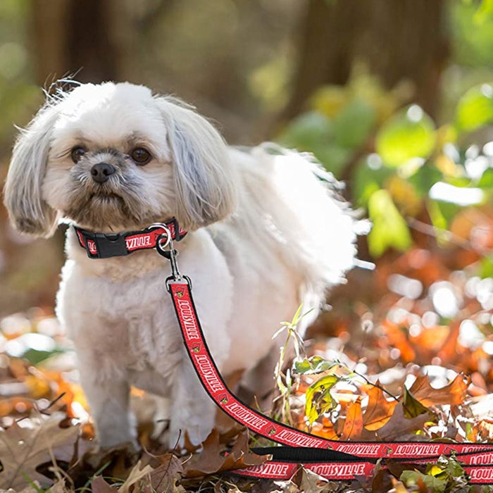 Louisville Cardinals Dog Leash - 3 Red Rovers